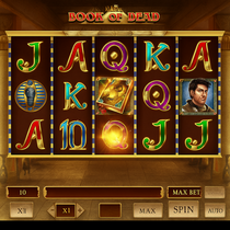 Wildrobin - Book of Dead Slot Game